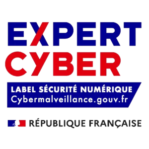 cyber expert