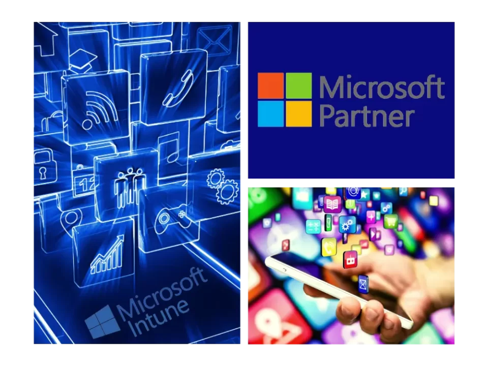 microsoft partner